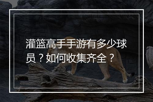 灌篮高手手游有多少球员？如何收集齐全？