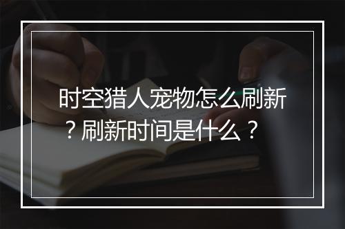 时空猎人宠物怎么刷新？刷新时间是什么？