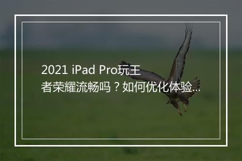 2021 iPad Pro玩王者荣耀流畅吗？如何优化体验？