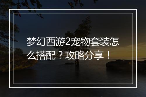 梦幻西游2宠物套装怎么搭配?攻略分享!