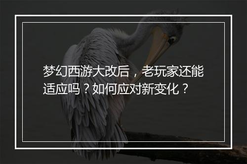 梦幻西游大改后,老玩家还能适应吗?如何应对新变化?