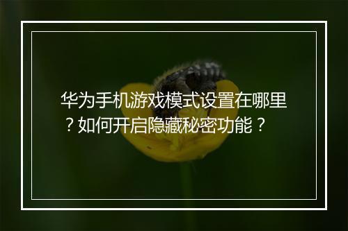华为手机游戏模式设置在哪里？如何开启隐藏秘密功能？
