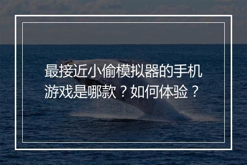 最接近小偷模拟器的手机游戏是哪款？如何体验？
