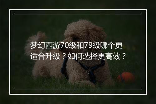 梦幻西游70级和79级哪个更适合升级?如何选择更高效?