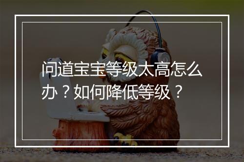 问道宝宝等级太高怎么办?如何降低等级?