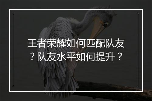 王者荣耀如何匹配队友？队友水平如何提升？