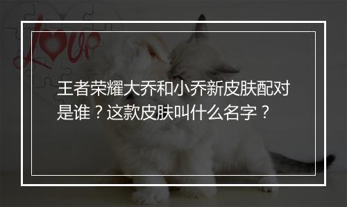 王者荣耀大乔和小乔新皮肤配对是谁?这款皮肤叫什么名字?