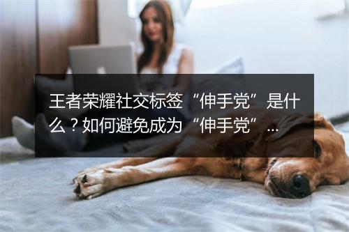 王者荣耀社交标签“伸手党”是什么?如何避免成为“伸手党”?