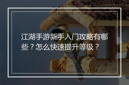 江湖手游新手入门攻略有哪些?怎么快速提升等级?