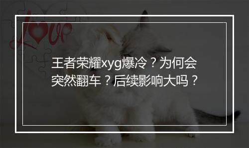 王者荣耀xyg爆冷?为何会突然翻车?后续影响大吗?