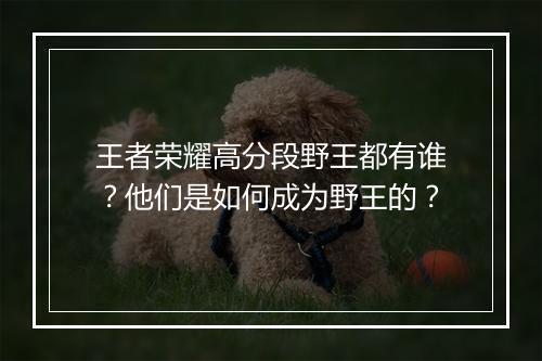 王者荣耀高分段野王都有谁?他们是如何成为野王的?
