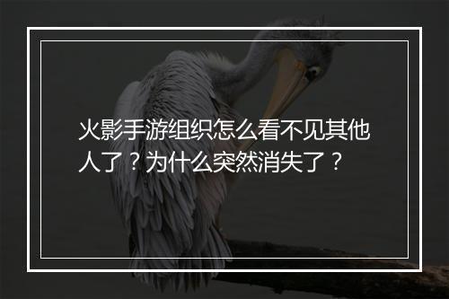 火影手游组织怎么看不见其他人了?为什么突然消失了?