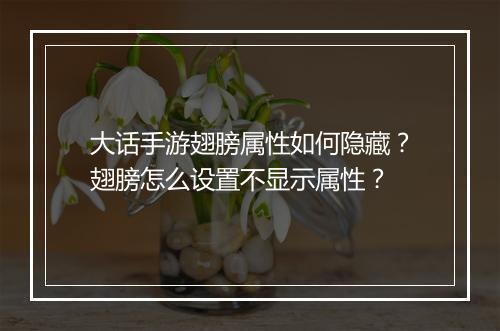 大话手游翅膀属性如何隐藏?翅膀怎么设置不显示属性?