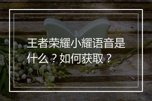 王者荣耀小耀语音是什么?如何获取?