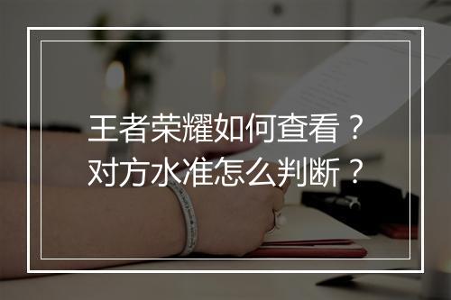 王者荣耀如何查看?对方水准怎么判断?
