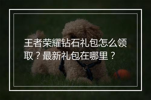 王者荣耀钻石礼包怎么领取?最新礼包在哪里?