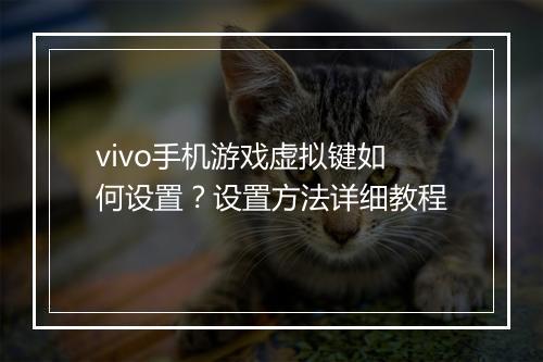 vivo手机游戏虚拟键如何设置?设置方法详细教程