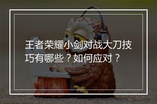 王者荣耀小剑对战大刀技巧有哪些?如何应对?