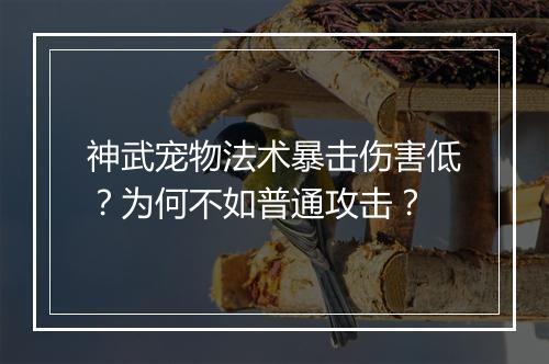 神武宠物法术暴击伤害低？为何不如普通攻击？