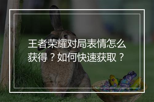 王者荣耀对局表情怎么获得？如何快速获取？