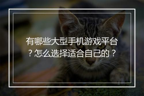 有哪些大型手机游戏平台?怎么选择适合自己的?