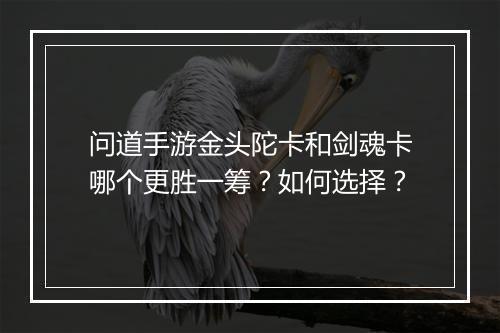 问道手游金头陀卡和剑魂卡哪个更胜一筹?如何选择?