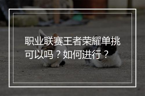职业联赛王者荣耀单挑可以吗?如何进行?