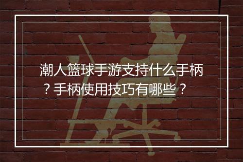 潮人篮球手游支持什么手柄?手柄使用技巧有哪些?