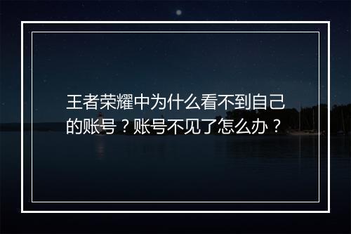 王者荣耀中为什么看不到自己的账号？账号不见了怎么办？