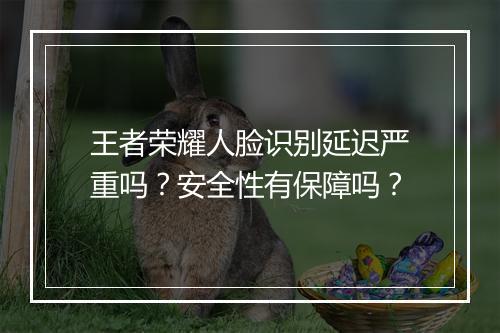 王者荣耀人脸识别延迟严重吗?安全性有保障吗?