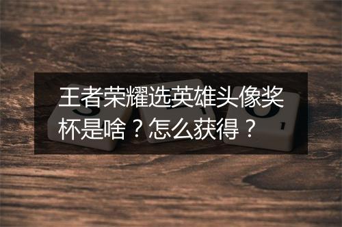 王者荣耀选英雄头像奖杯是啥?怎么获得?