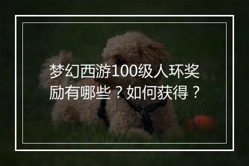 梦幻西游100级人环奖励有哪些?如何获得?