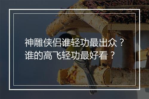神雕侠侣谁轻功最出众?谁的高飞轻功最好看?