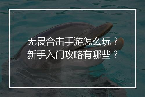无畏合击手游怎么玩?新手入门攻略有哪些?