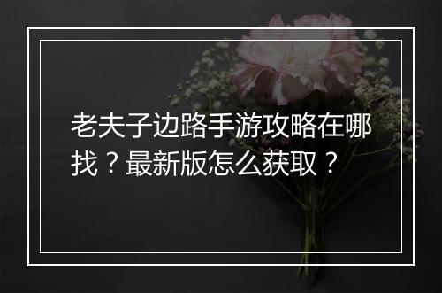 老夫子边路手游攻略在哪找?最新版怎么获取?