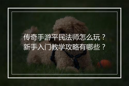 传奇手游平民法师怎么玩？新手入门教学攻略有哪些？