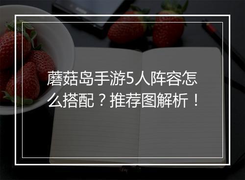蘑菇岛手游5人阵容怎么搭配？推荐图解析！