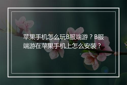 苹果手机怎么玩B服端游?B服端游在苹果手机上怎么安装?