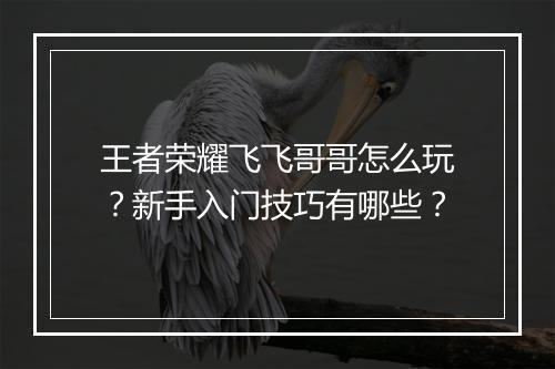 王者荣耀飞飞哥哥怎么玩?新手入门技巧有哪些?