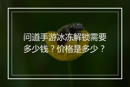 问道手游冰冻解锁需要多少钱?价格是多少?