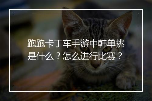 跑跑卡丁车手游中韩单挑是什么?怎么进行比赛?
