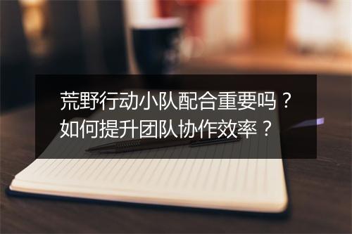 荒野行动小队配合重要吗？如何提升团队协作效率？