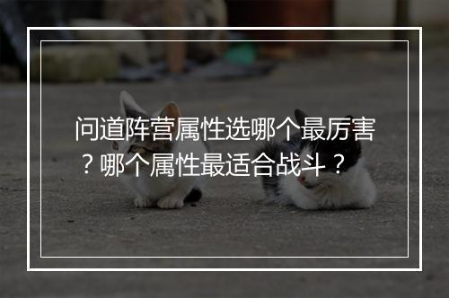 问道阵营属性选哪个最厉害？哪个属性最适合战斗？