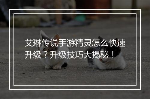 艾琳传说手游精灵怎么快速升级?升级技巧大揭秘!