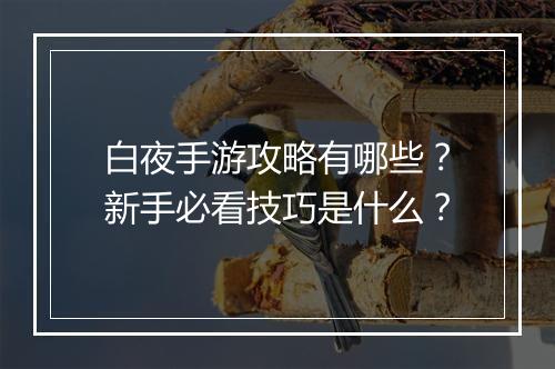 白夜手游攻略有哪些?新手必看技巧是什么?