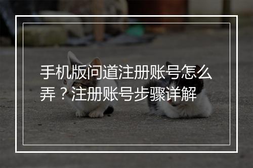 手机版问道注册账号怎么弄?注册账号步骤详解