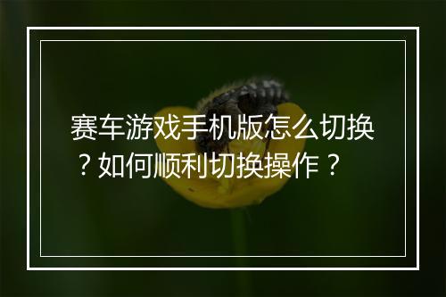 赛车游戏手机版怎么切换？如何顺利切换操作？