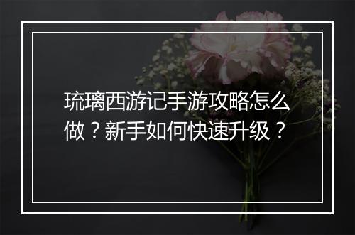 琉璃西游记手游攻略怎么做？新手如何快速升级？