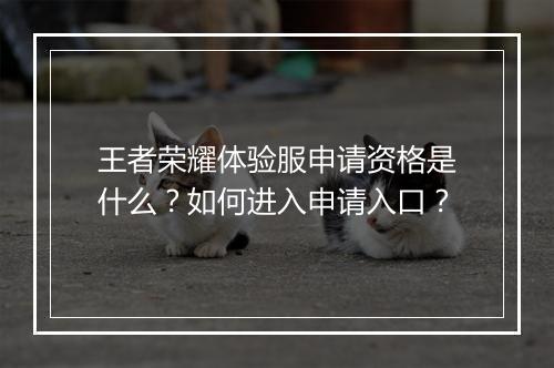 王者荣耀体验服申请资格是什么?如何进入申请入口?