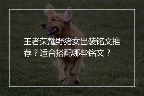 王者荣耀野猪女出装铭文推荐?适合搭配哪些铭文?